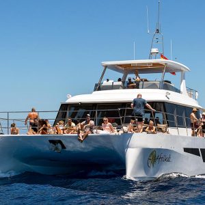 Boat Trips and Special Events and private Yachts